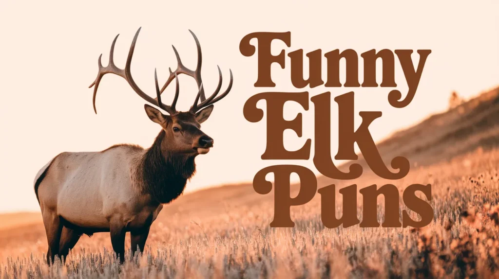 Funny Elk Puns