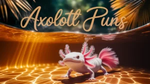 Axolotl Puns