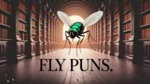 Fly Puns