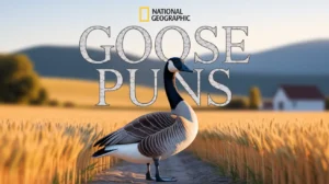 Goose Puns