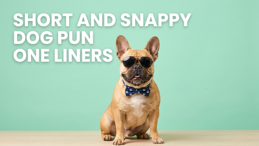 Short and snappy dog pun one liners