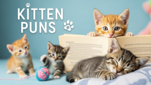 Kitten Puns