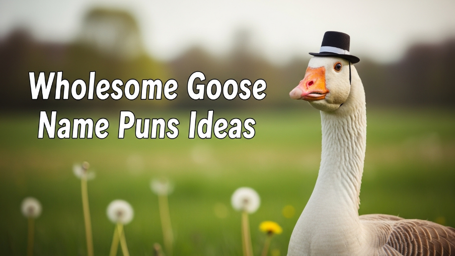 Wholesome Goose Name Puns Ideas