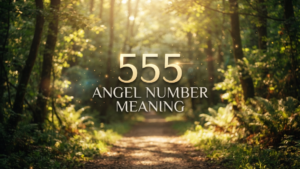 555 Angel Number Meaning